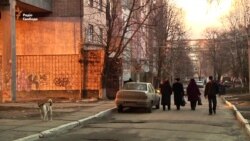 Донбас – «Дике поле» України? Донбас – «Дике поле» України?