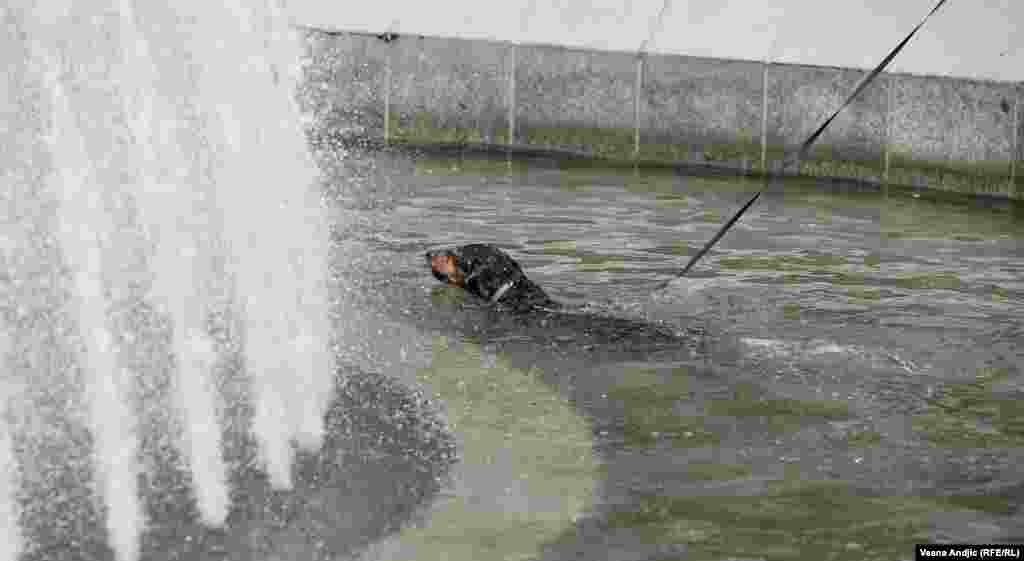 „U njima je u poslednjih 150 godina srednja temperatura vazduha na planeti porasla za više od jednog stepena, a površine mora za pola stepena“, objašnjava Pejanović.