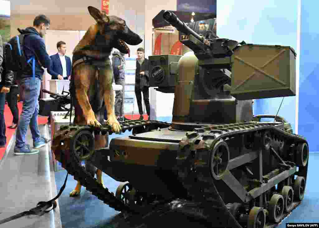 Поліцейський пес стоїть біля українського бойового робота на Міжнародній спеціалізованій виставці «Зброя та безпека-2018». Київ, 10 жовтня 2018 року