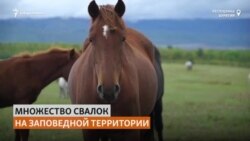 Ритуалы, которые нанесли ущерб природе Бурятии Ритуалы, которые нанесли ущерб природе Бурятии