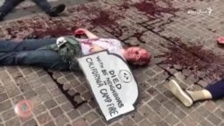 د اکتوبر اتمې ویډیويي خبرونه د اکتوبر اتمې ویډیويي خبرونه