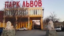 За закрытыми воротами «Тайгана»: как сейчас живет парк львов? (видео) За закрытыми воротами «Тайгана»: как сейчас живет парк львов? (видео)