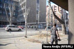 Seča drveća u centru Beograda, mart 2019.