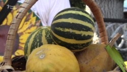В Херсоне провели фестиваль арбузов (видео) В Херсоне провели фестиваль арбузов (видео)