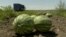 Ukraine - drones hit watermelon fields in Kherson region - screen grab