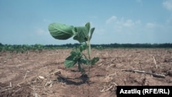 Ilustrativna fotografija