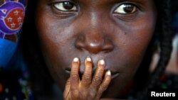 Zabilježeno u Nigeru, 2005.