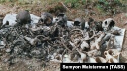 Останки розстріляних в урочищі Сандармох за вироками сталінських «трійок» у 1937 році, Карелія