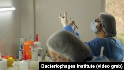 გიორგი ელიავას სახელობის ბაქტერიოფაგიის, მიკრობიოლოგიისა და ვირუსოლოგიის ინსტიტუტის ლაბორატორია