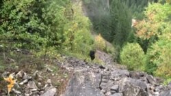 Korićanske stijene: Nova otkrića razlog za ponovnu ekshumaciju  Korićanske stijene: Nova otkrića razlog za ponovnu ekshumaciju