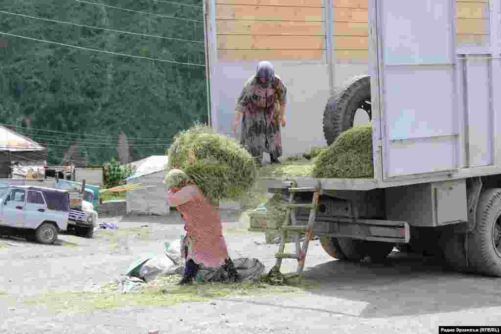 ТIалсухъ росулъа руччабаз гIатIиракьалдаса хер баччулеб буго.