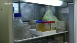 Bakterije koje jedu plastiku rješenje za ekološke probleme