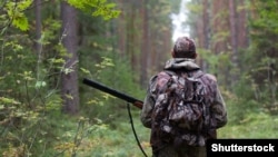 Охота (иллюстрация)