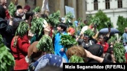 მკალავიშვილის მრევლი ჭინჭრის თაიგულებით