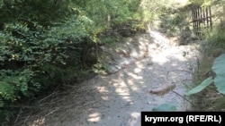 Высохшее русло реки Танасу у села Кирпичное Белогорского района, сентябрь 2020 года