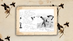 მაროს ერთ-ერთი წერილი. ქართული ლიტერატურის სახელმწიფო მუზეუმი