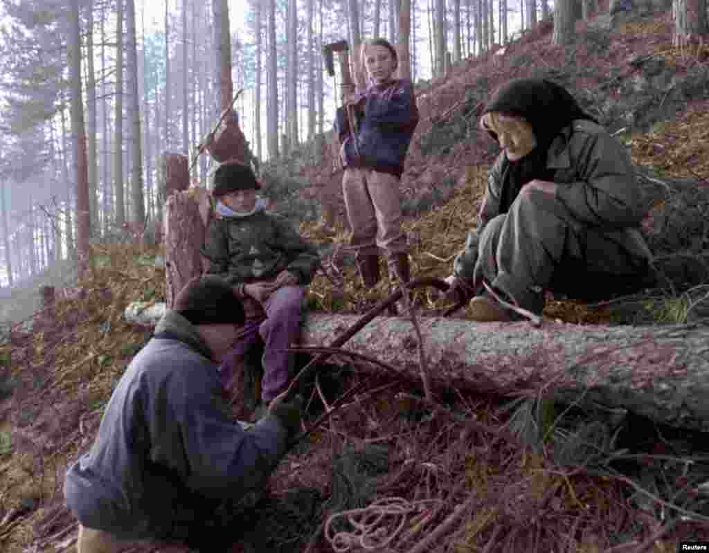 Porodica siječe drvo na brdima oko grada (fotografija napravljena oko godinu dana nakon početka opsade). Prije opsade na području grada i okolnih naselja živjelo je oko 525.000 ljudi. 