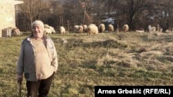 Povratnici, raseljene osobe i izbjeglice često su i u raljama birokratije.