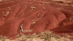 След динозавра След динозавра