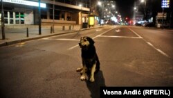 Beogradske ulice su već nedeljama prazne u vreme policijskog sata, arhivska fotografija