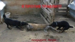 Петербург Свободы.Такие в России развлечения Петербург Свободы.Такие в России развлечения