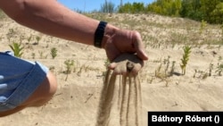 A klímaváltozás országszerte érezhető Magyarországon is: például Bács-Kiskunban, a Homokhátságon, amit az ENSZ 2020-ban hivatalosan is félsivataggá minősített és ahol gyakorlatilag már semmilyen haszonnövényt nem éri meg termeszteni.