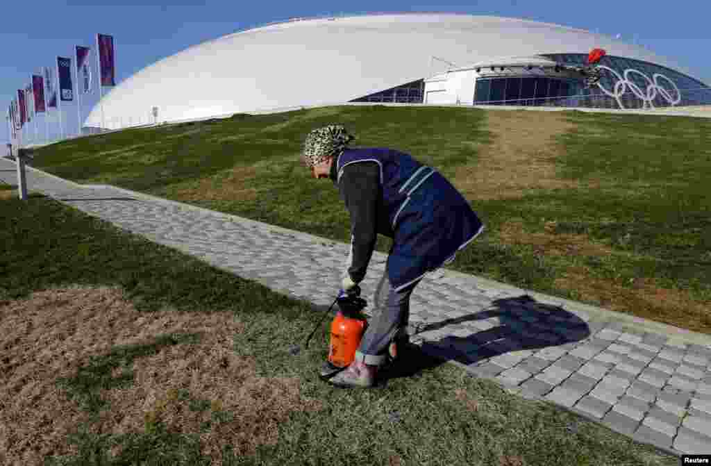 Озеленення перед Великим льодовим палацом. Знімок зроблений 4 лютого