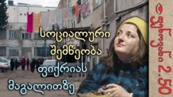 სიღარიბე და სოციალური დახმარება საქართველოში - ფენოვანი 2.50