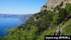 Денег нет или просто не хотят?