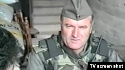 Ратко Младич, Хорватія, 1991 рік