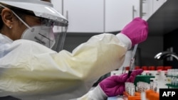 Covid-19 vaccination study at the Research Centers of America in Hollywood