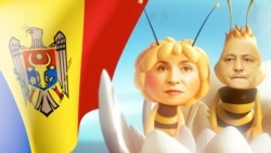 Майя Санду и Игорь Додон в виде пчелы и шершня, коллаж