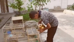 Дӯконҳои Кӯлоб аз саъбаҳои зебо пур мешаванд Дӯконҳои Кӯлоб аз саъбаҳои зебо пур мешаванд