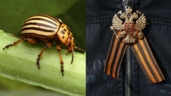 Тема недели: язык войны Тема недели: язык войны