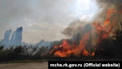 Горящая растительность в Крыму, иллюстративное фото