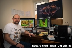 Niga većinu posla obavlja u svom kućnom studiju u Londonu.