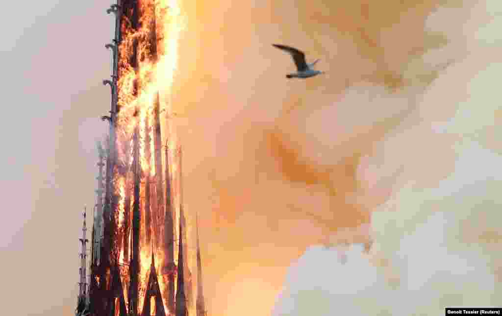 К 20:30 у собора рухнул шпиль. Чуть позже - кровля. К зданию стянуты несколько сотен пожарных и представителей других городских служб.