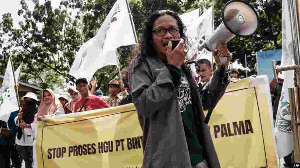 Na fotografiji: lokalni aktivista na protestu 10. juna protiv podizanja plantaže na prostoru tresetišta.Lokalni sud u junu je odbacio tužbu građana, navodeći da tužitelji nemaju pravnu osnovu. "Bol je neopisiva", rekao je tužitelj Muhammad Awal Gunadi o toj odluci. "Teško nam je jer se borimo protiv velikih kompanija." Grupa je najavila žalbu i lobira kod lokalnih vlasti da se odredi novi sud koji bi zaštitio preostala tresetišta.