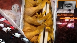 როგორ ღებავენ ქათმებს ყვითლად - ჟურნალისტური გამოძიება როგორ ღებავენ ქათმებს ყვითლად - ჟურნალისტური გამოძიება