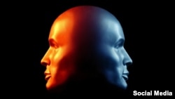 В мозгу билингвов два языка существуют как будто в двух разных корзинах