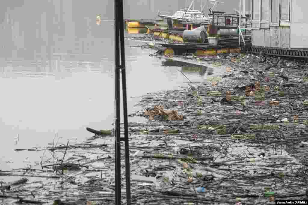 Problem smeća koje pluta na površini reka, postoji godinama unazad. Reka Dunav, Zemunski kej.
