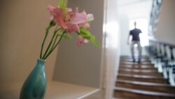 Человек имеет право. Сам себе управдом. Анонс Человек имеет право. Сам себе управдом. Анонс