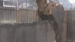 Rušenje zida u Severnoj Mitrovici Rušenje zida u Severnoj Mitrovici