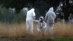 Građani Podgorice o sopstvenoj bezbjednosti Građani Podgorice o sopstvenoj bezbjednosti