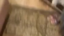 Снаряд в жилом доме Снаряд в жилом доме