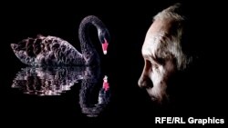 Владимир Путин, коллаж