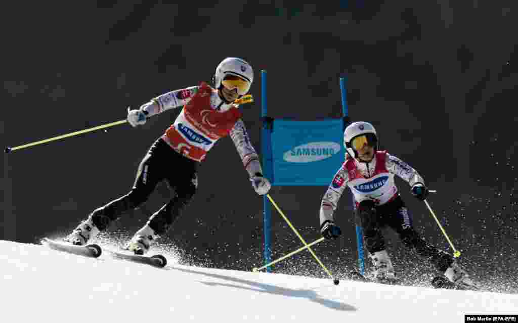 Гірськолижниця Генрієта Фаркасова зі Словаччини очолює турнірну таблицю мультимедалістів у Пхьончхані. Словацька спортсменка здобула 5 нагород серед жінок з вадами зору, 4 з яких золоті