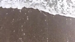 На старт, внимание, пляж! Начало курортного сезона в Судаке (видео) На старт, внимание, пляж! Начало курортного сезона в Судаке (видео)