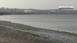 Тысячи медуз вынесло на берега Крыма (видео) Тысячи медуз вынесло на берега Крыма (видео)