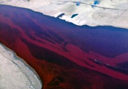 Nafta u reci kod grada Noriljsk, maj 2020.